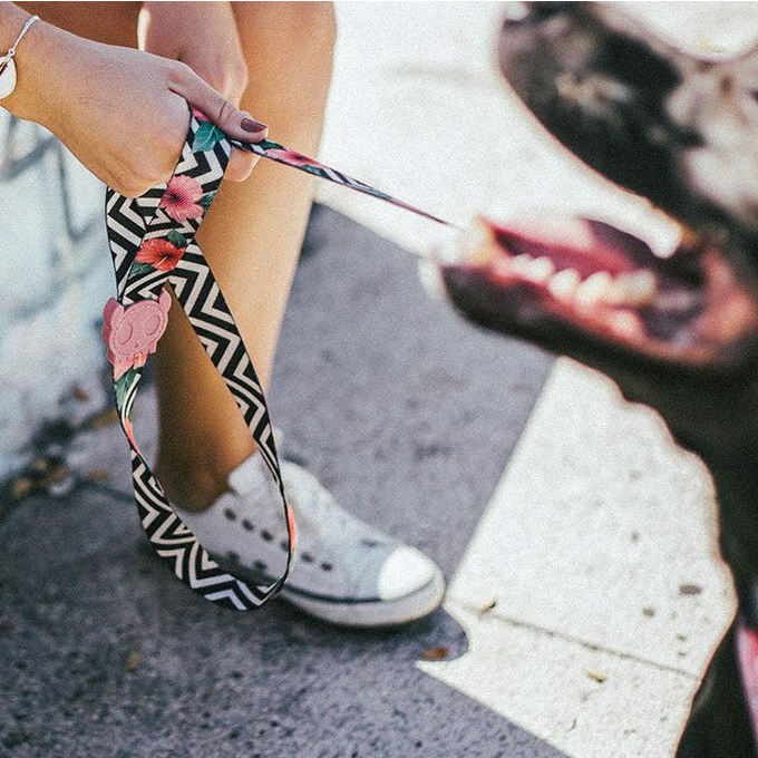 Zee.Dog Leash | Mahalo - Vanillapup Online Pet Store