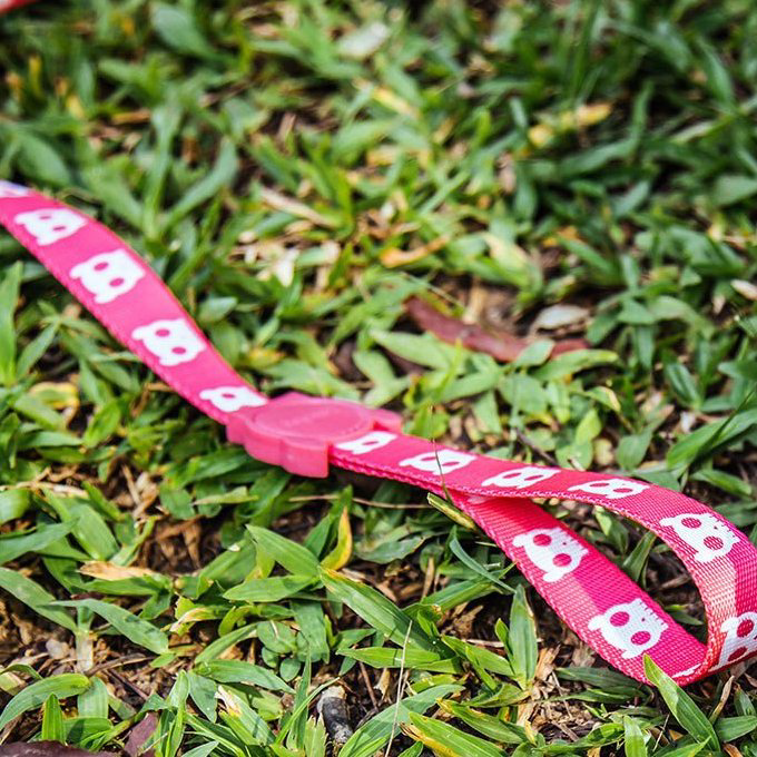 Zee.Dog Leash | Pink Skull - Vanillapup Online Pet Store