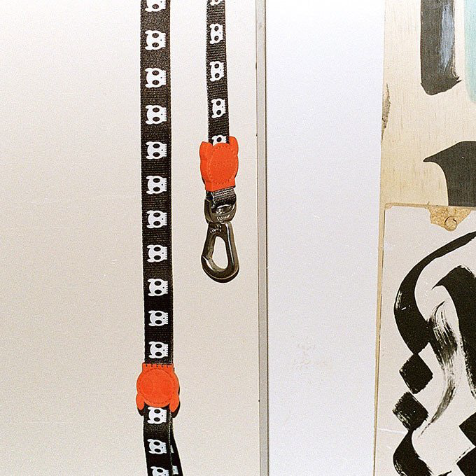 Zee.Dog Leash | Skull - Vanillapup Online Pet Store