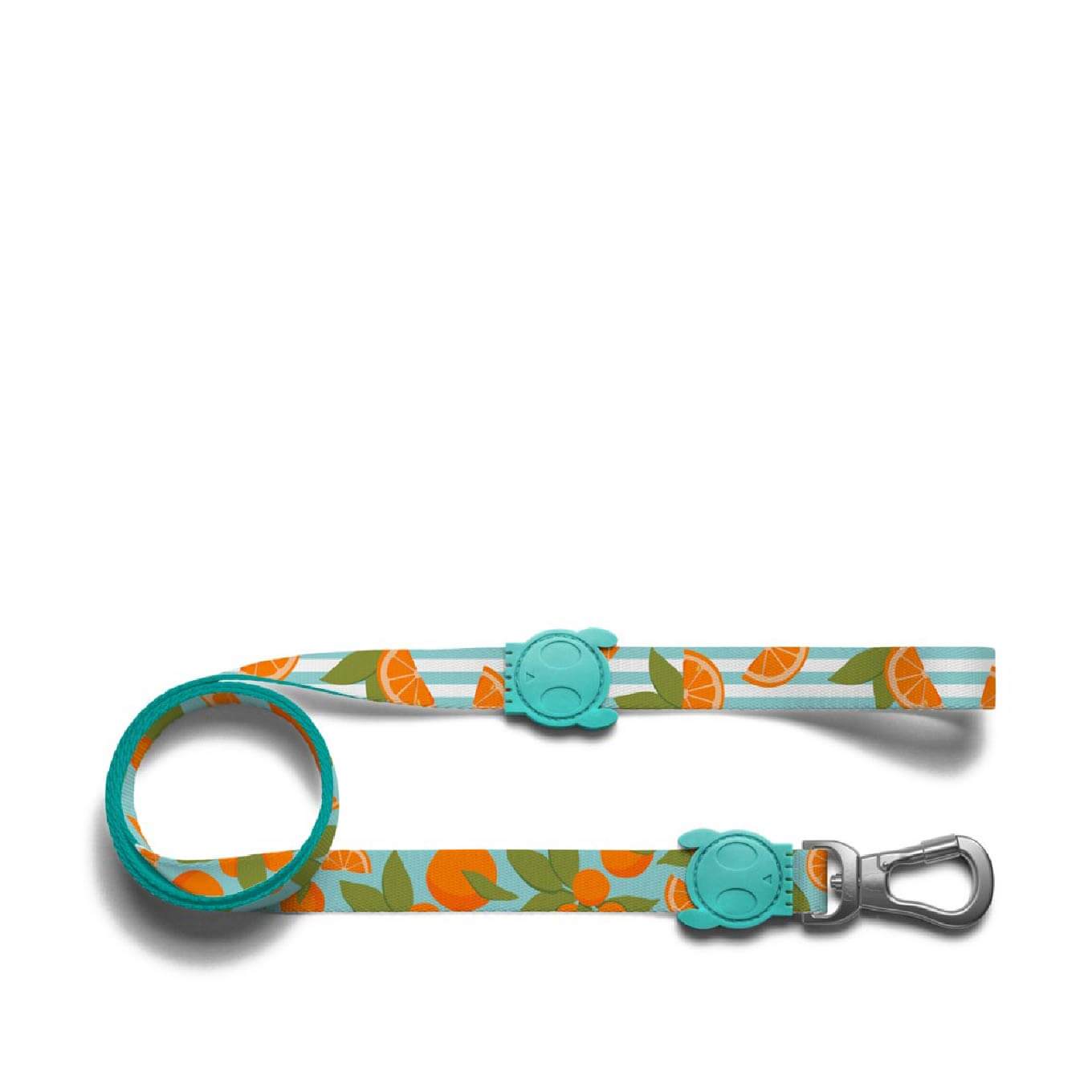 Zee.Dog Leash | Florida - Vanillapup Online Pet Store