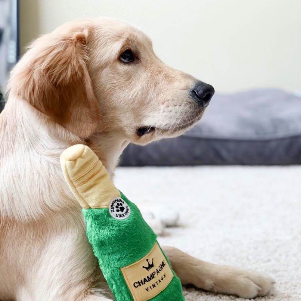 ZippyPaws Happy Hour Crusherz Champagne - Vanillapup Online Pet Store