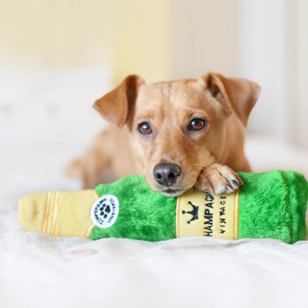 ZippyPaws Happy Hour Crusherz Champagne - Vanillapup Online Pet Store