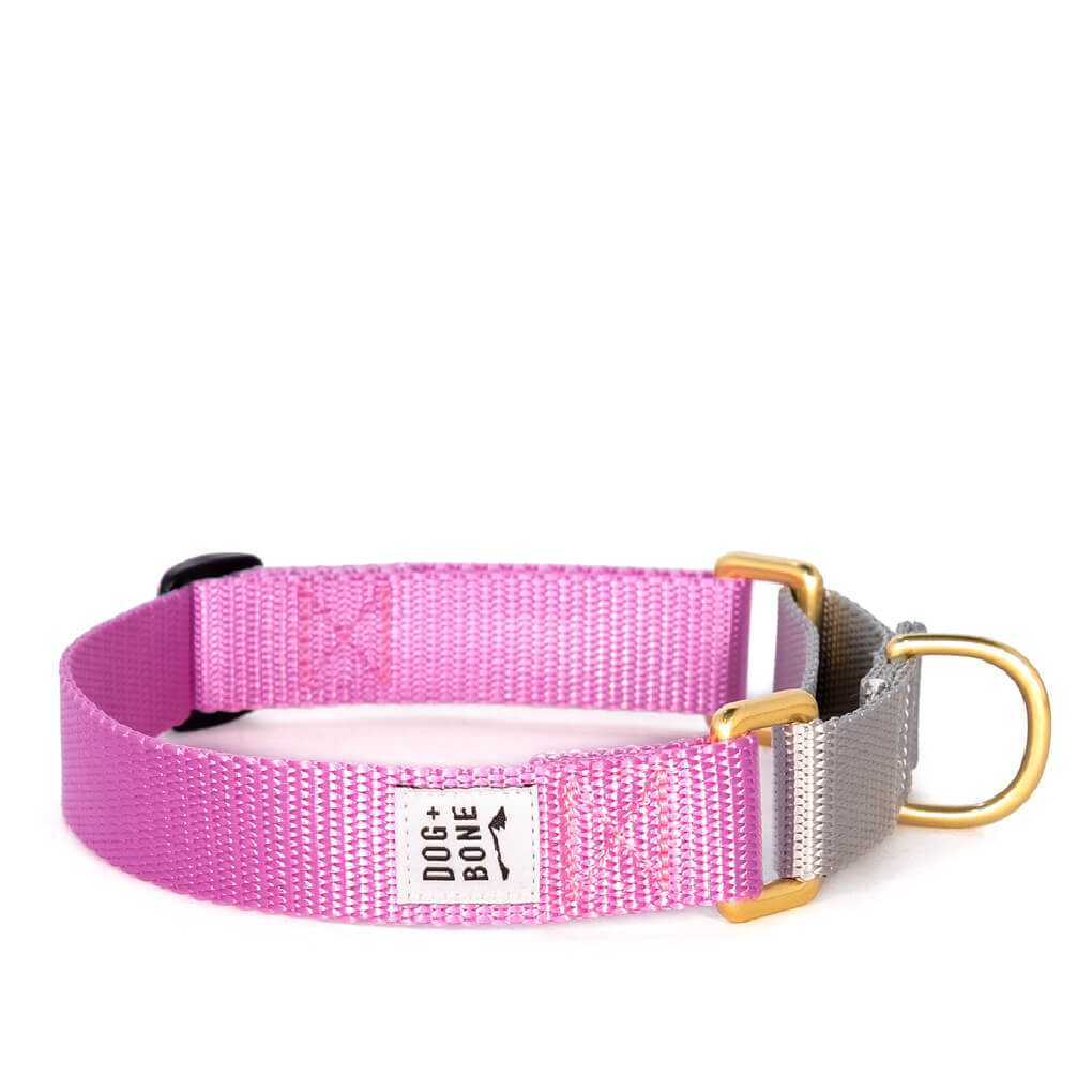 Dog + Bone Martingale Collar | Orchid & Silver - Vanillapup Online Pet Store