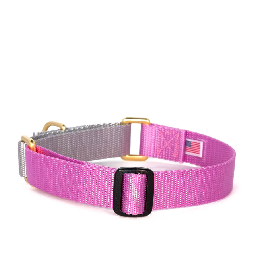 Dog + Bone Martingale Collar | Orchid & Silver - Vanillapup Online Pet Store