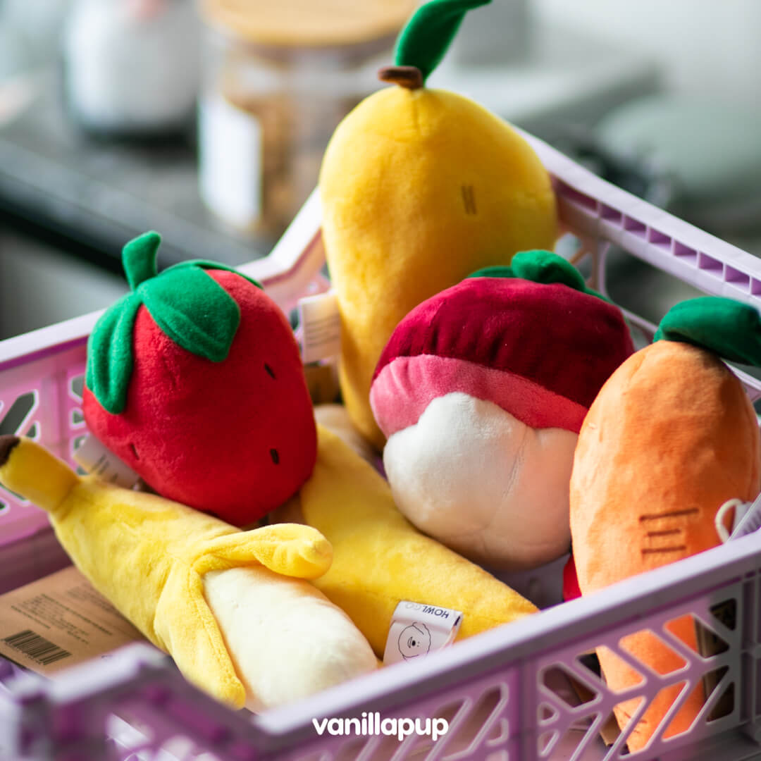 HOWLGO Fruit & Vegetable Dog Toys - Vanillapup Online Pet Store