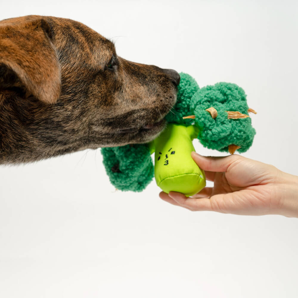 the furryfolks Broccoli Nosework Toy