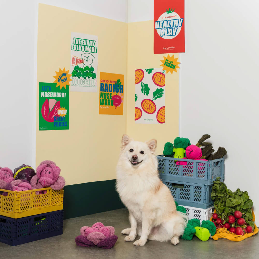 the furryfolks Cabbage Nosework Toy