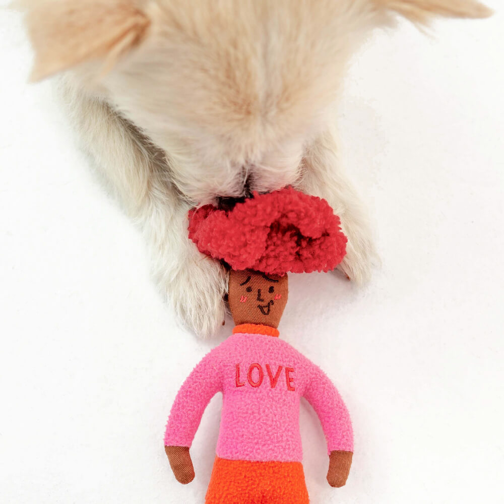 the furryfolks Hooman Nosework Toy