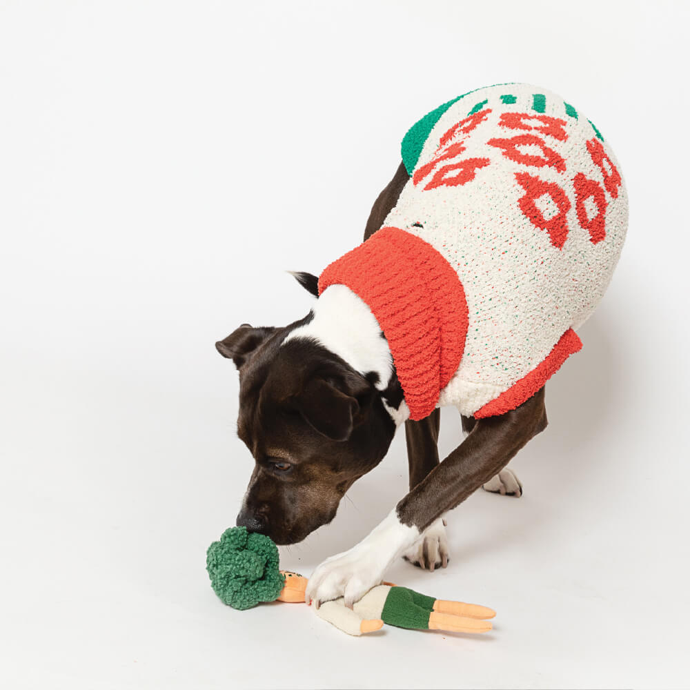 the furryfolks Hooman Nosework Toy