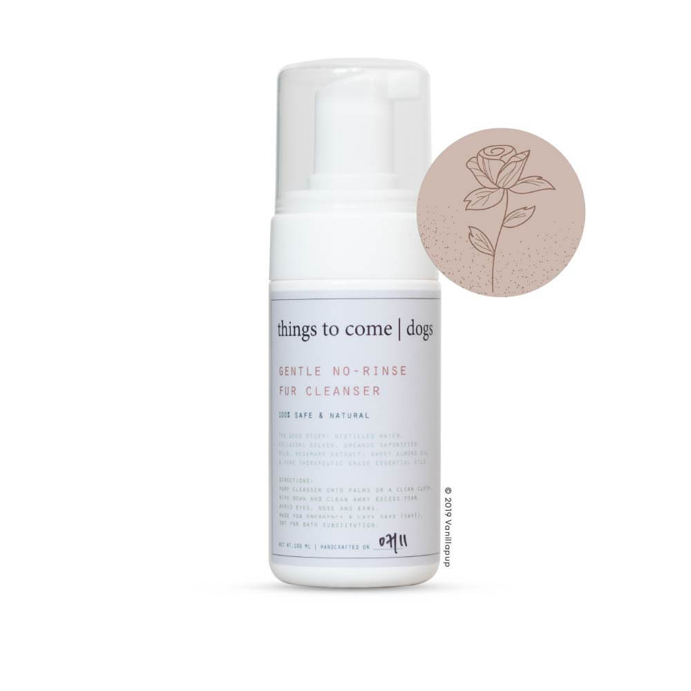 things to come Gentle No-Rinse Fur Cleanser No. 2 (100ml) - Vanillapup Online Pet Store