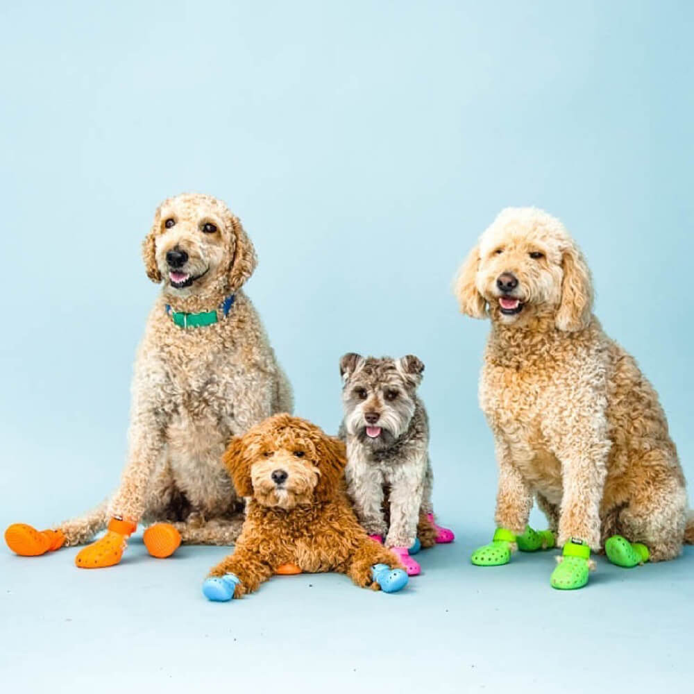 WagWellies® Mojave | Rainbow