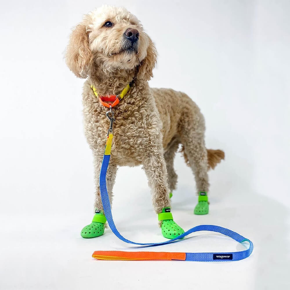 WagWellies® Mojave