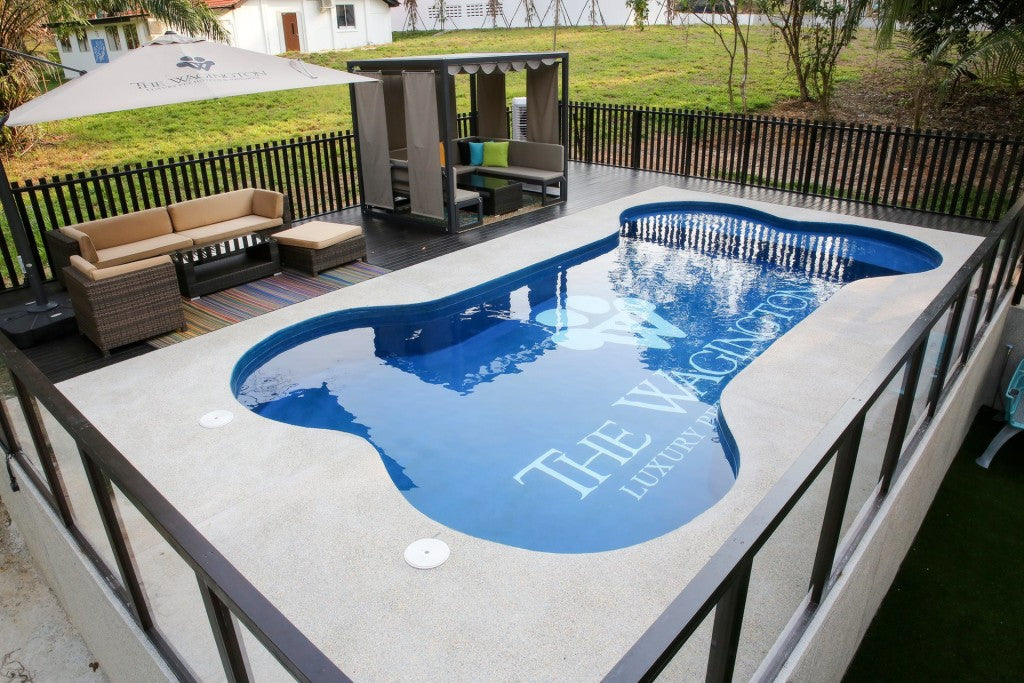 can dogs swim in vinyl liner pools