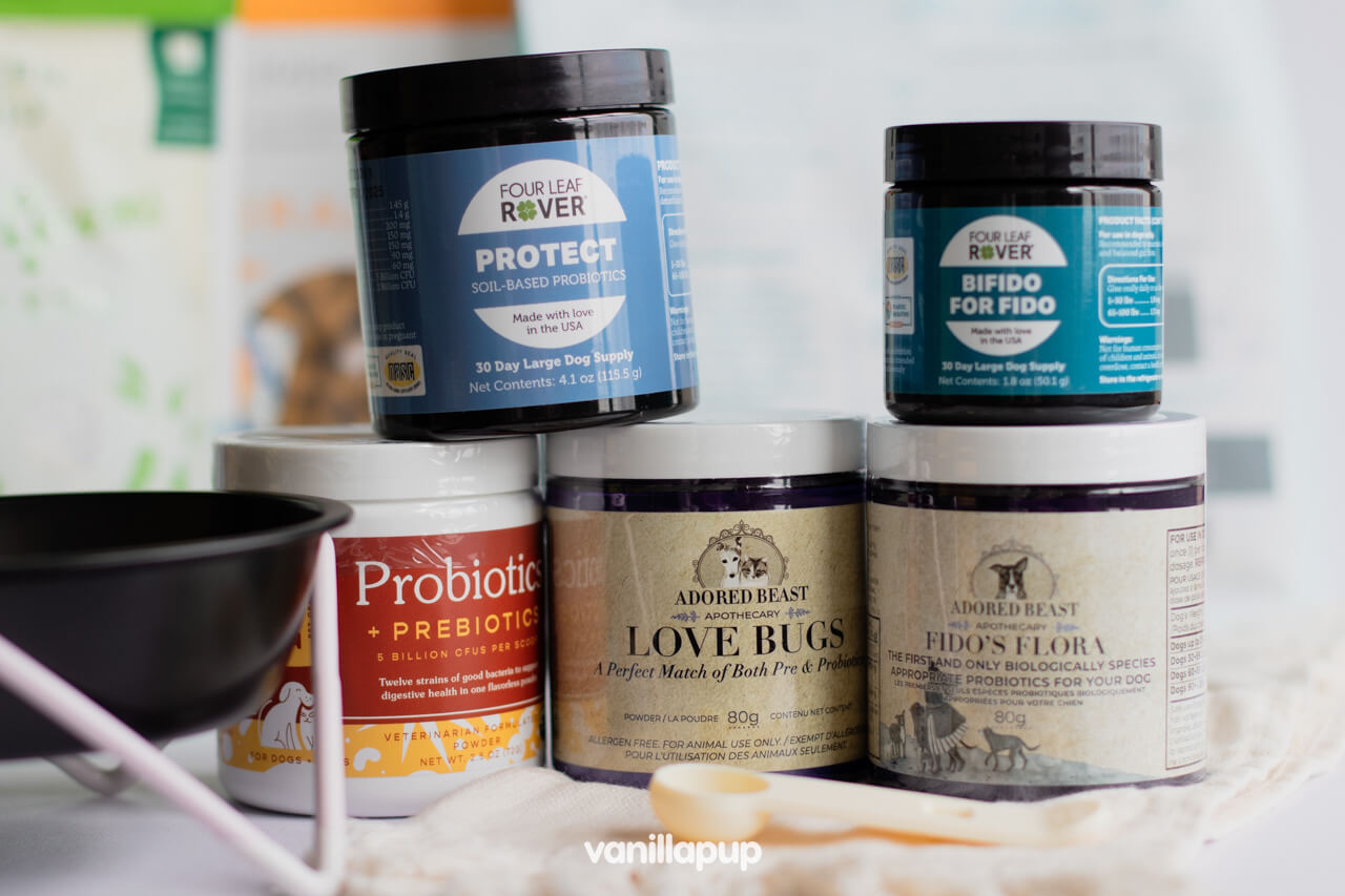 Probiotics: Is it Necessary and How to Choose the Right One for Your Dog?