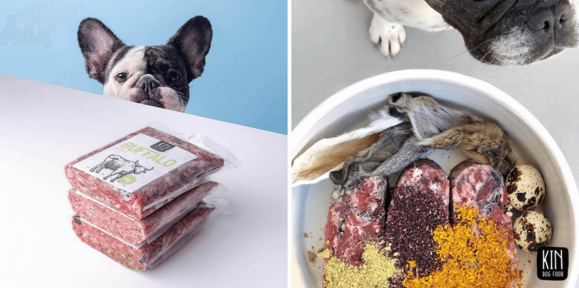 KIN Dog Food: Interview With Founder Bianca on Building the Business