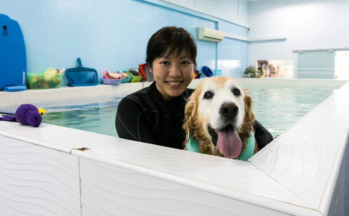 Vanillapup Chat: 15 Questions with Canine Wellness and Rehab Centre Founder Lynn Ho