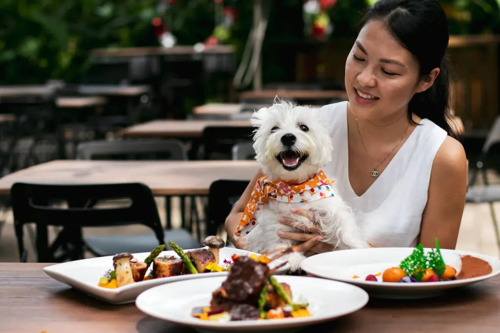 Dog friendly places for lunch best sale near me