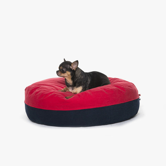 Betters Stylish Korean Pet Products