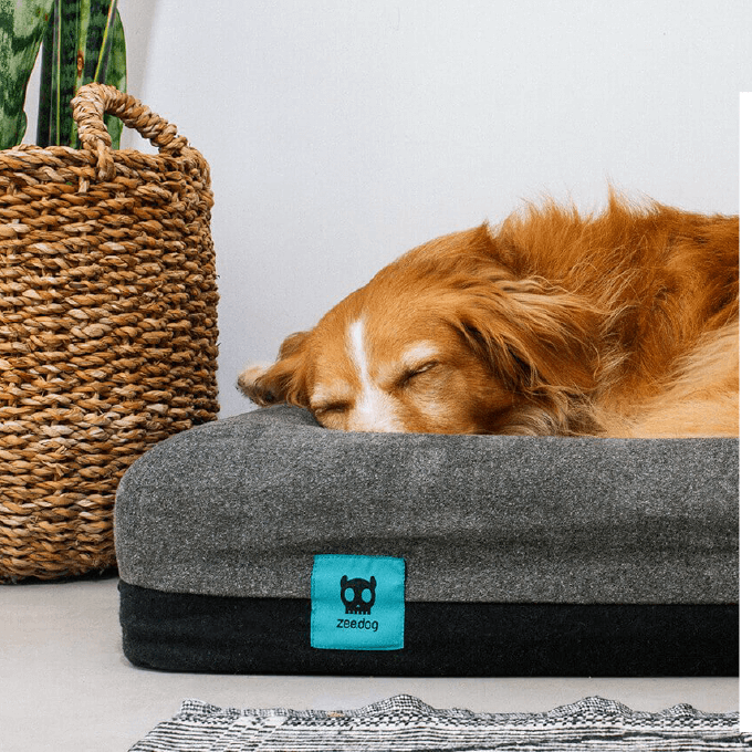 Firm & Supportive Beds