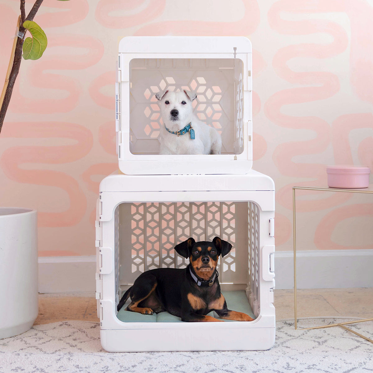 PAWD® Collapsible Plastic Pet Crate