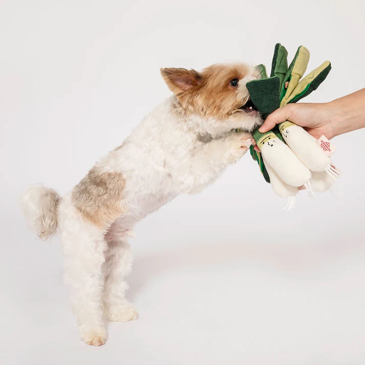 the furryfolks Green Onion Nosework Toy