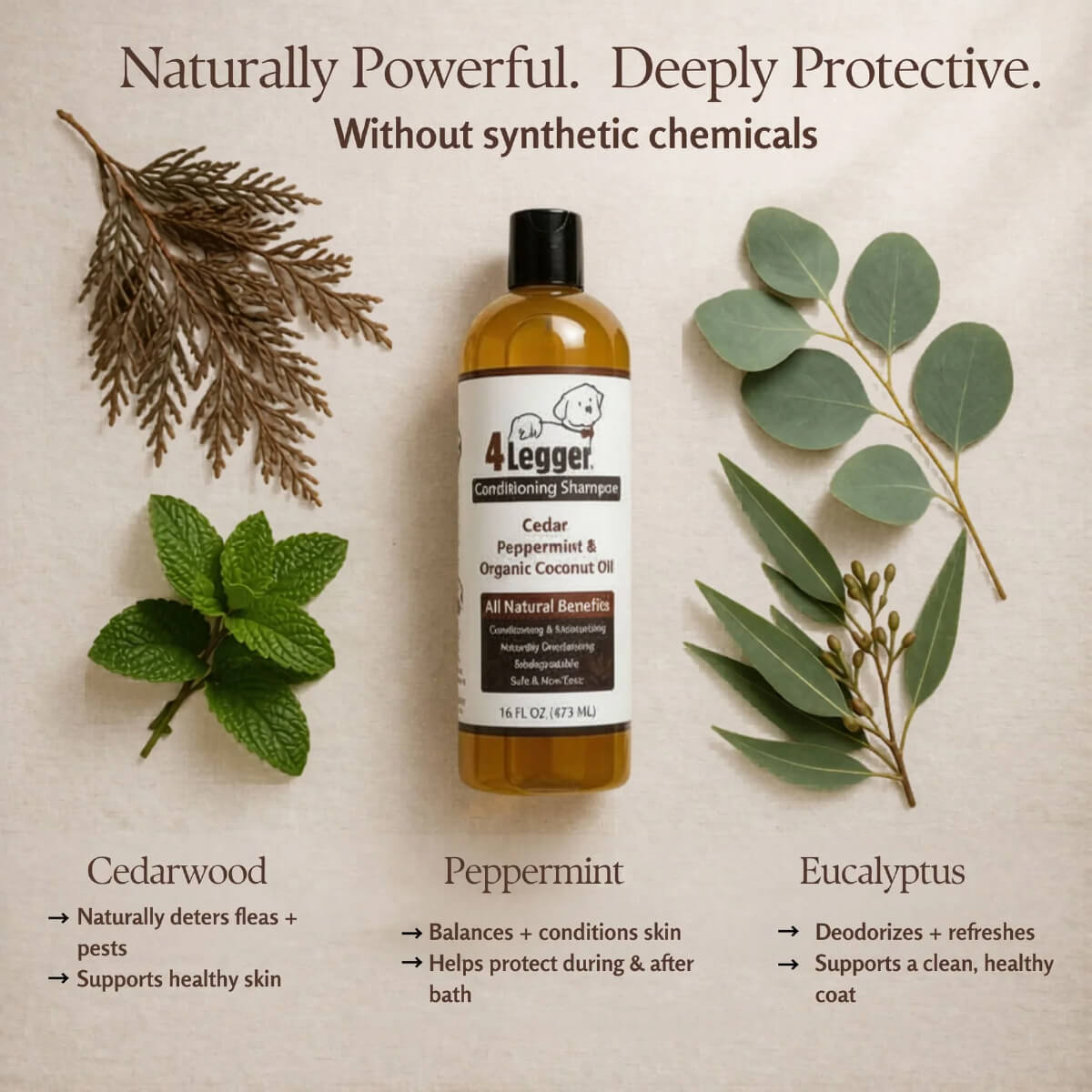 4-Legger Organic Cedar, Peppermint & Eucalyptus Conditioning Shampoo