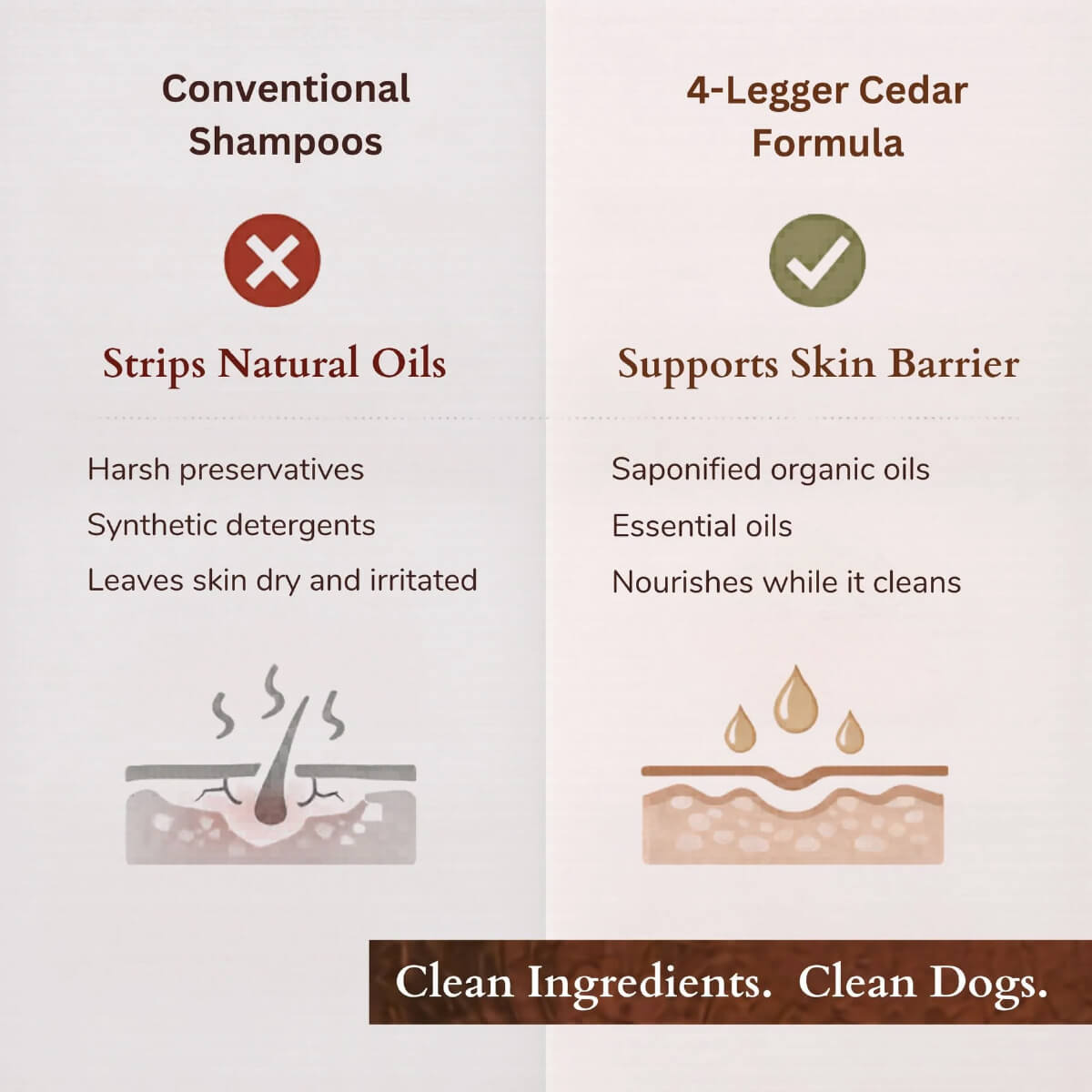 4-Legger Organic Cedar, Peppermint & Eucalyptus Conditioning Shampoo