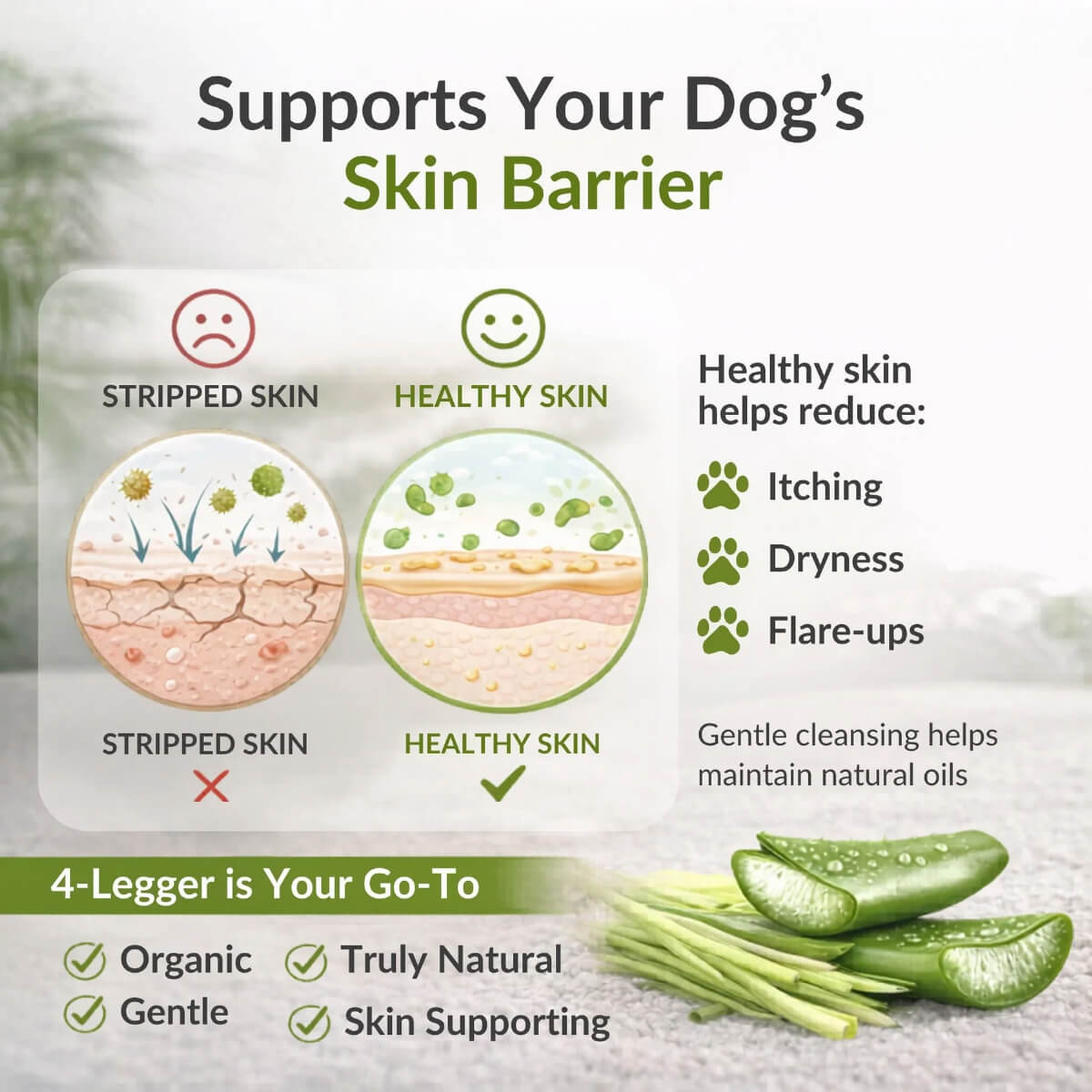 4-Legger Organic Lemongrass and Aloe Hypoallergenic Shampoo