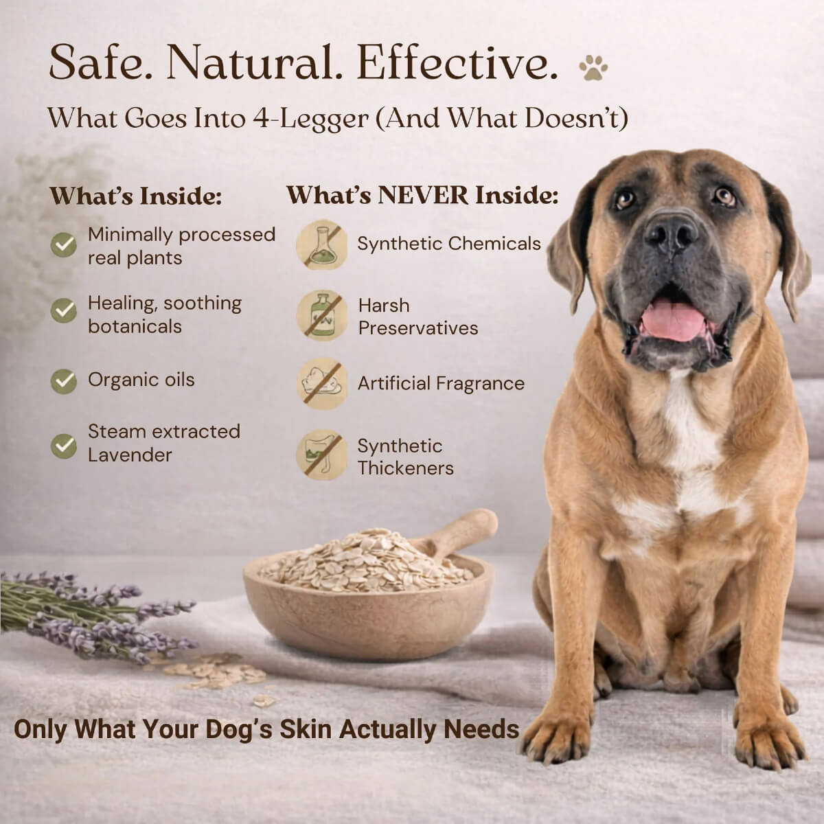 4-Legger Organic Oatmeal Shampoo with Lavender & Aloe