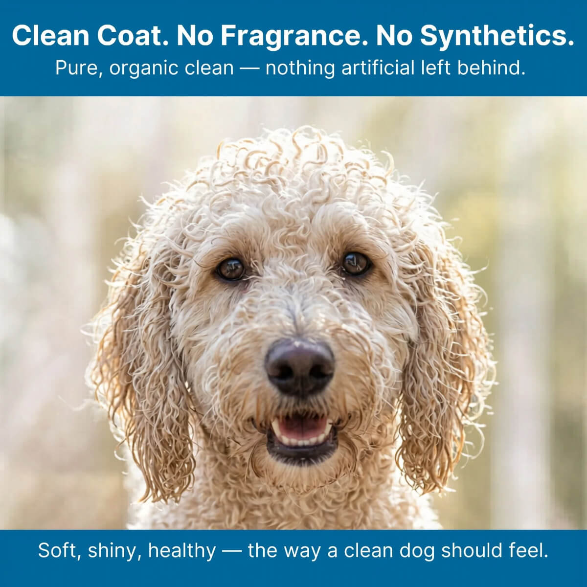 4-Legger Organic Unscented Hypoallergenic Shampoo with Aloe