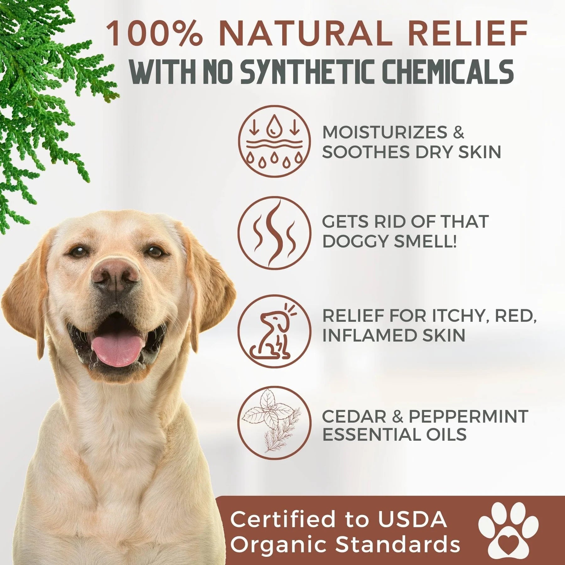 4-Legger Organic Cedar, Peppermint & Eucalyptus Conditioning Shampoo