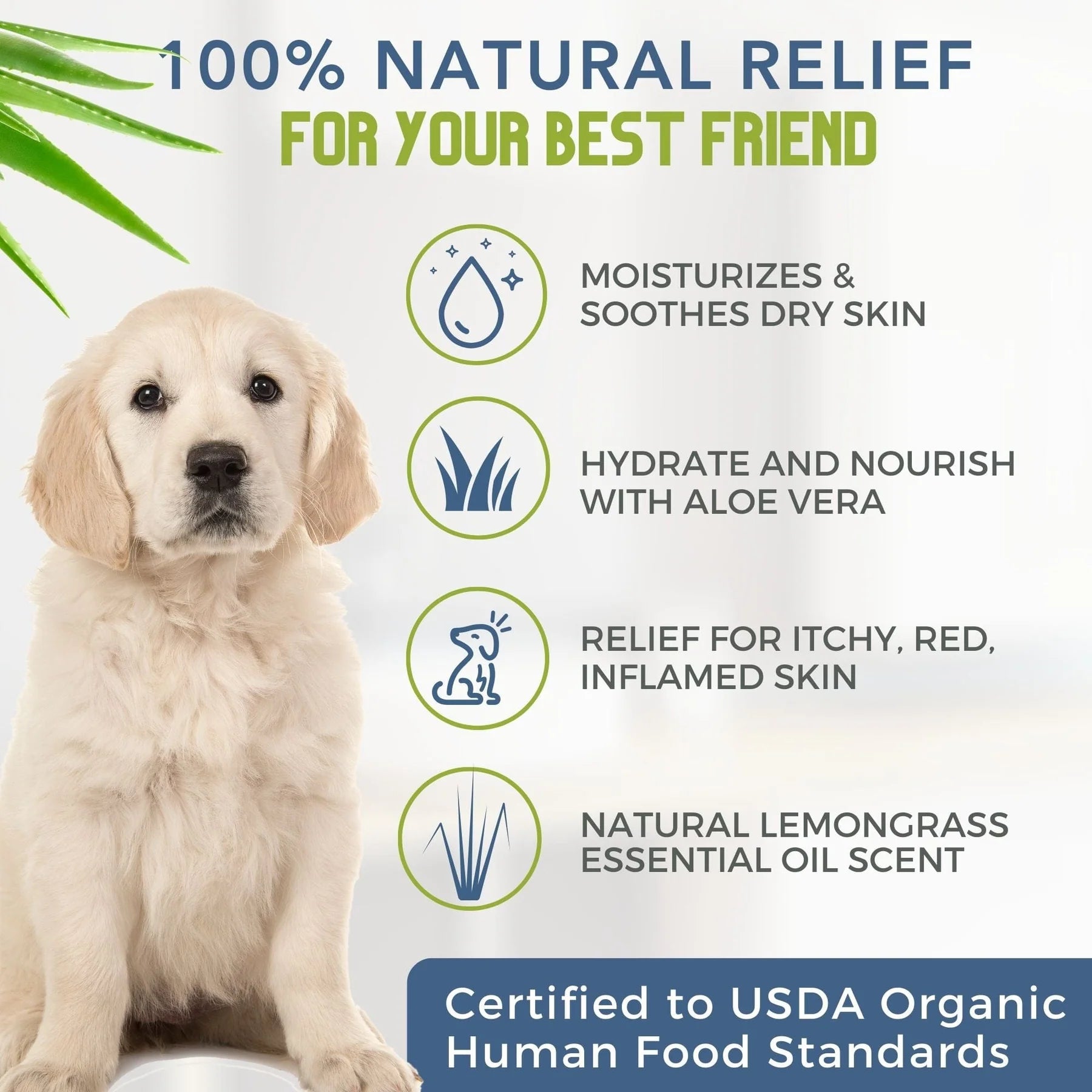 4-Legger Organic Lemongrass and Aloe Hypoallergenic Shampoo