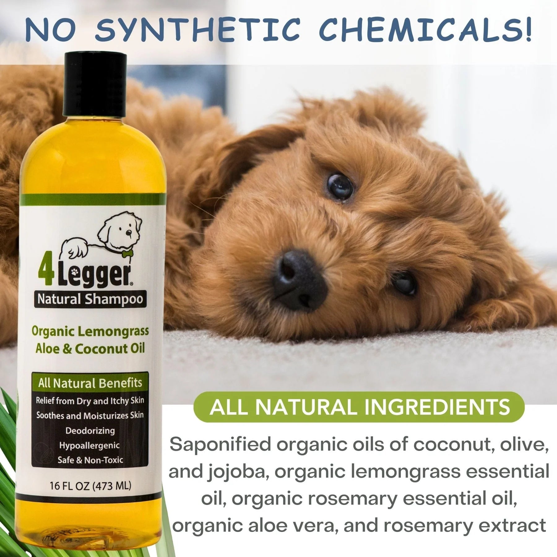 4 Legger natural shampoo bottle with a dog and product details on a white background
