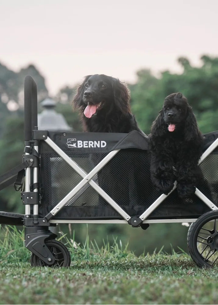 A black and silver pet stroller wagon with two dogs sitting inside, photographed outdoors on grass with trees in the background. The stroller has the brand name BERND visible on the side.