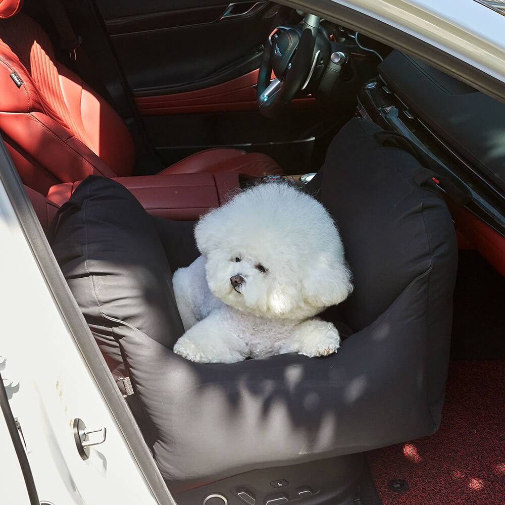 Barbichon Car Seat