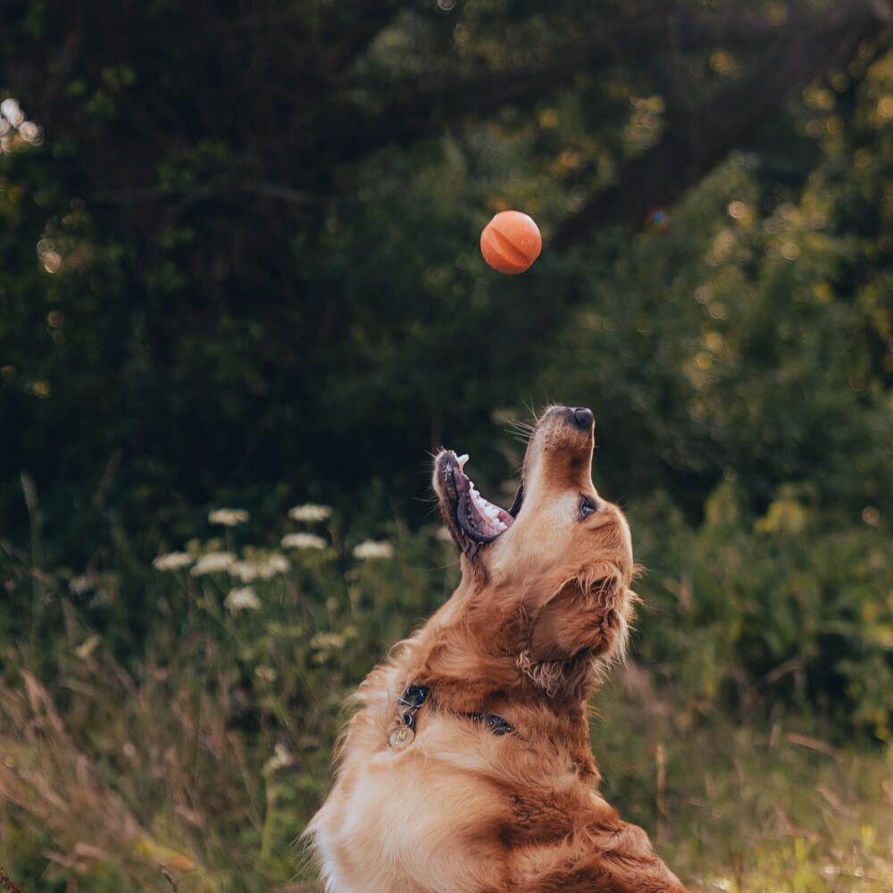 Beco Natural Rubber Fetch Ball