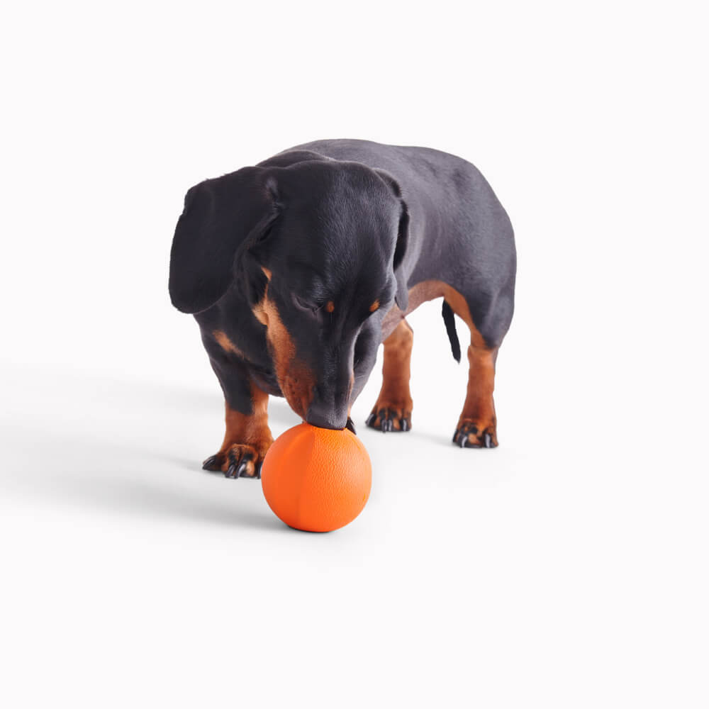 Beco Natural Rubber Fetch Ball