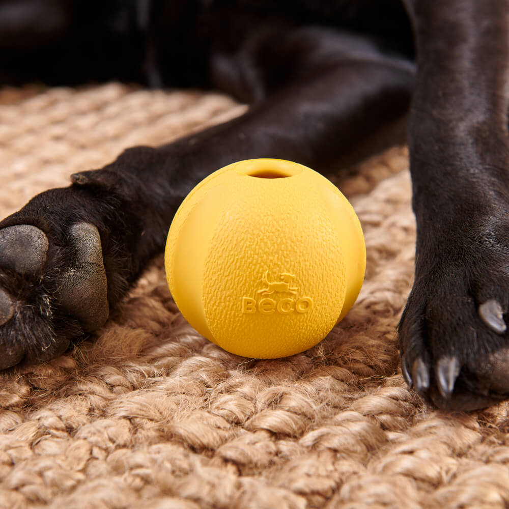 Beco Natural Rubber Fetch Ball