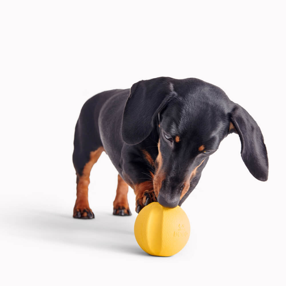 Beco Natural Rubber Fetch Ball