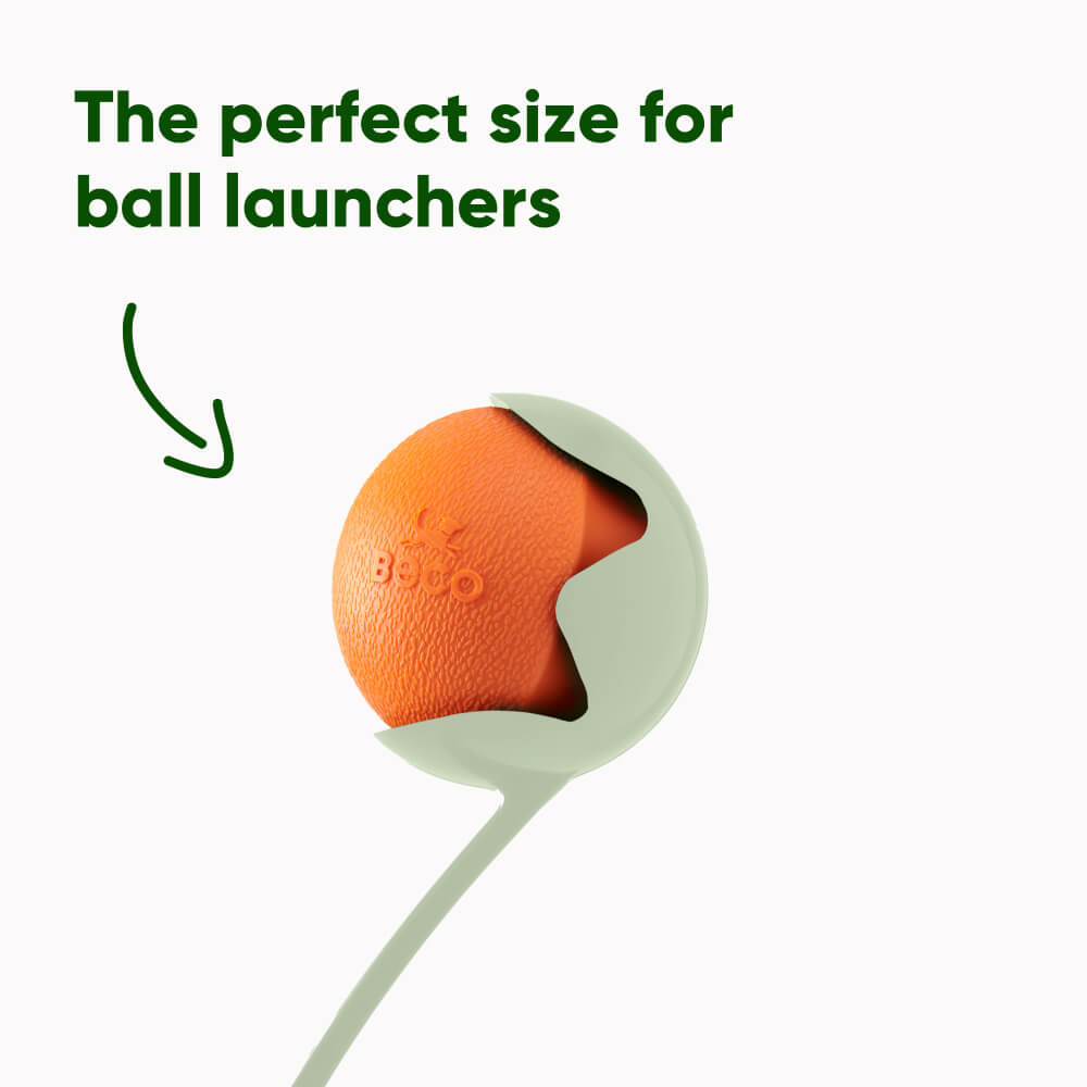 Beco Natural Rubber Fetch Ball