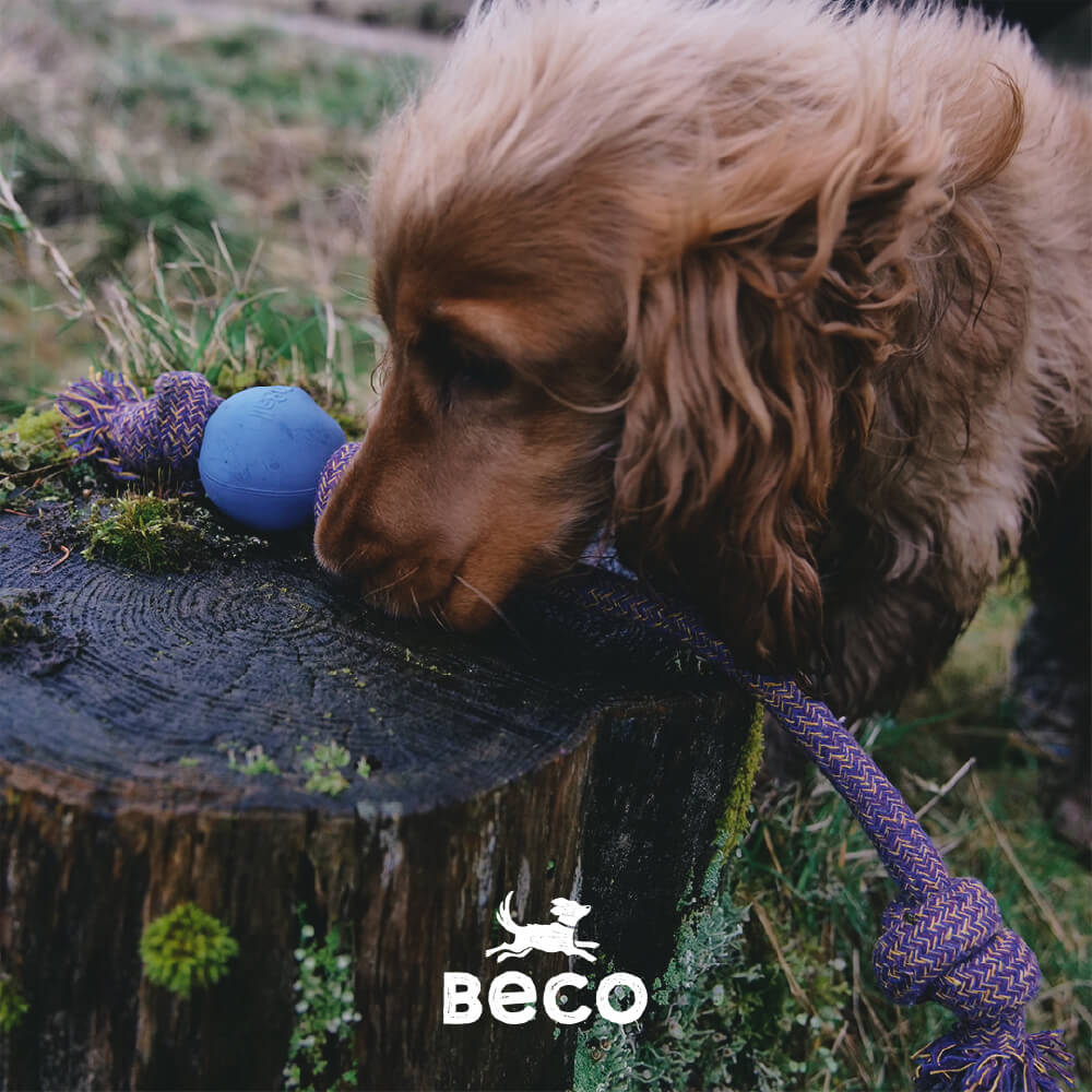 Beco Natural Rubber Ball on Rope