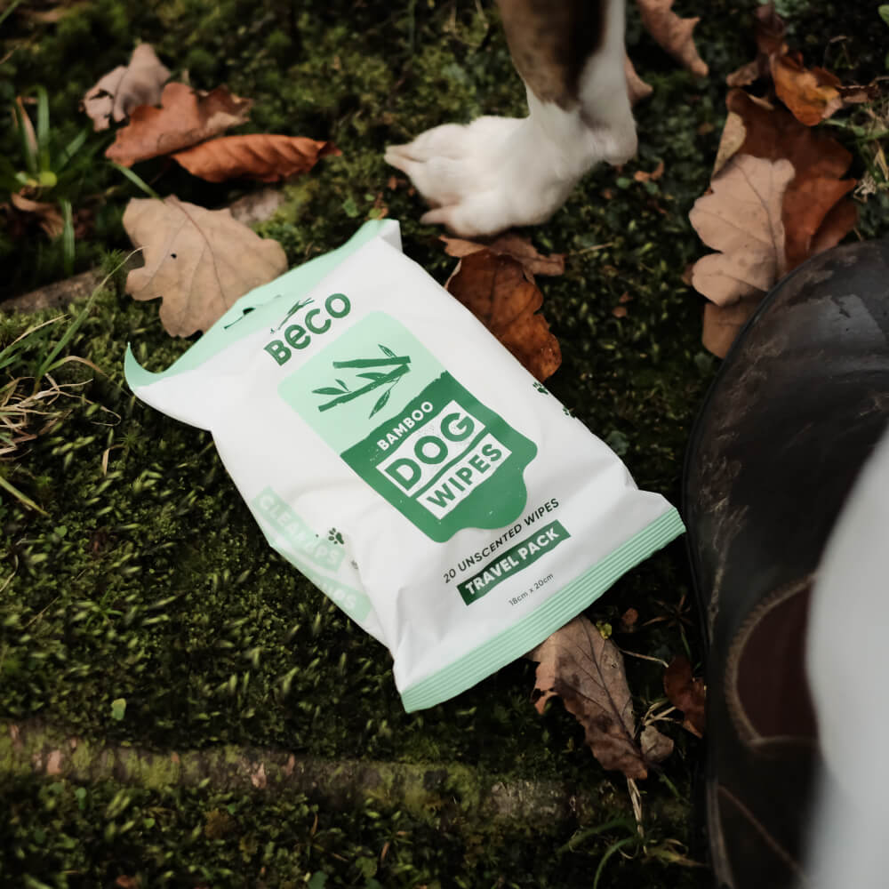 Beco Bamboo Travel Wipes, Unscented, 20 Pack