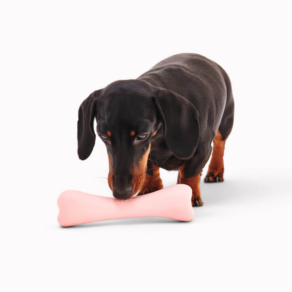 Beco Natural Rubber Treat Bone