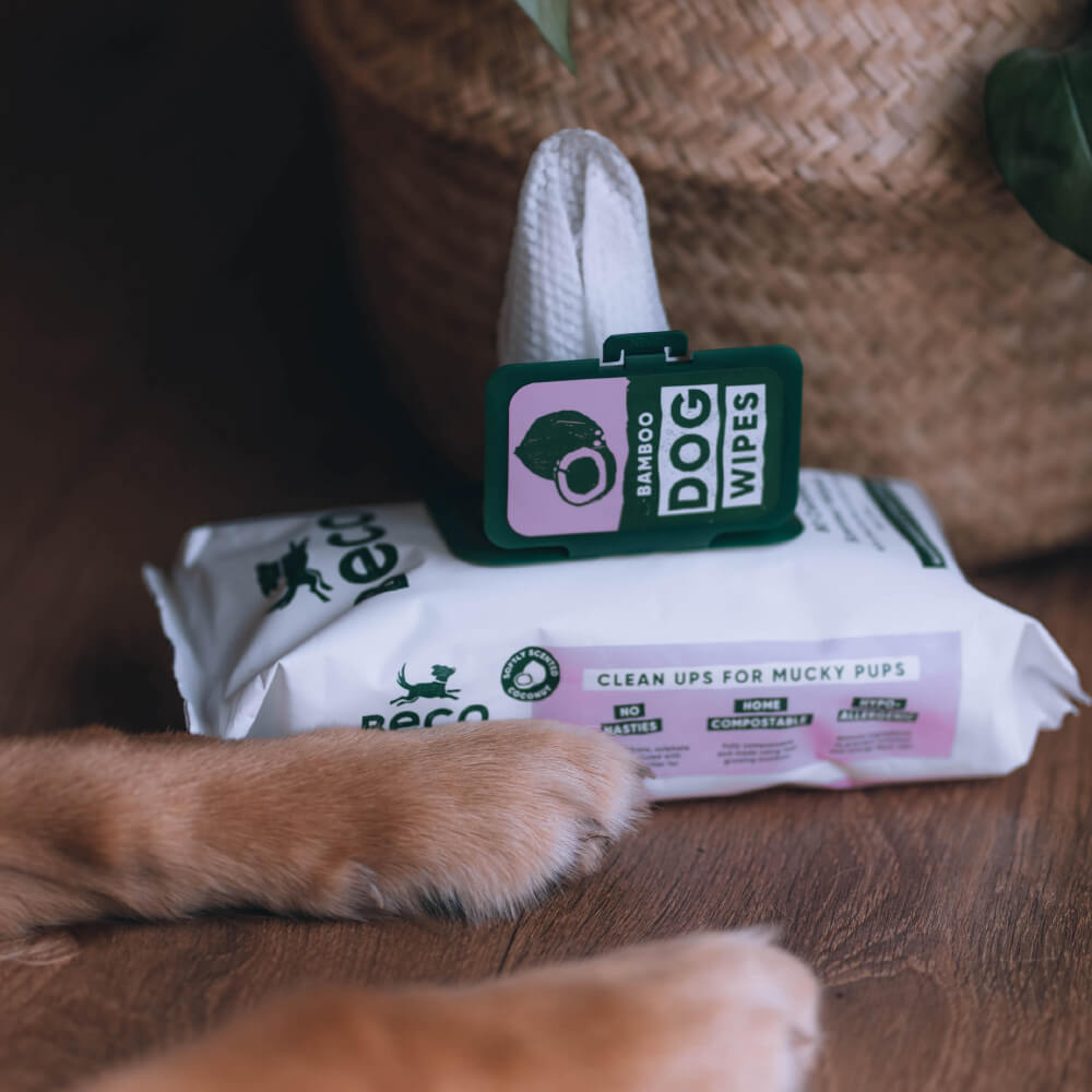 Beco Bamboo Dog Wipes | Coconut Scented