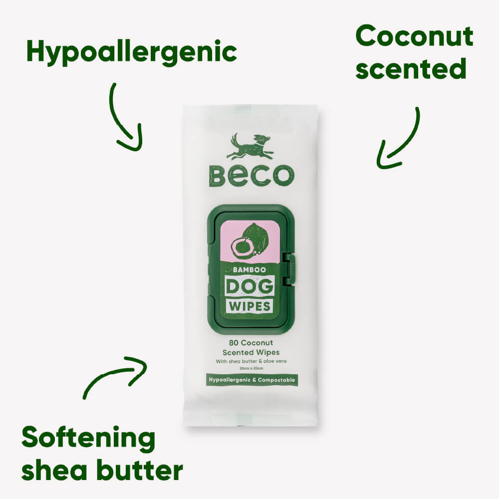 Beco Bamboo Dog Wipes, Coconut Scented, 80 Pack