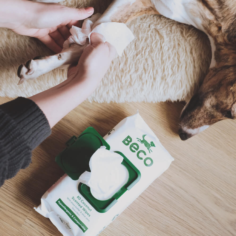 Beco Bamboo Dog Wipes, Unscented, 80 Pack