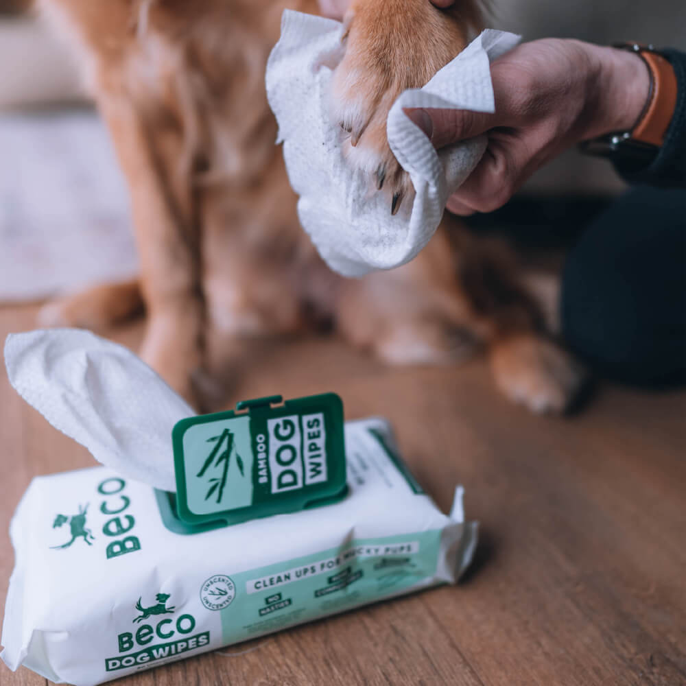 Beco Bamboo Dog Wipes | Unscented