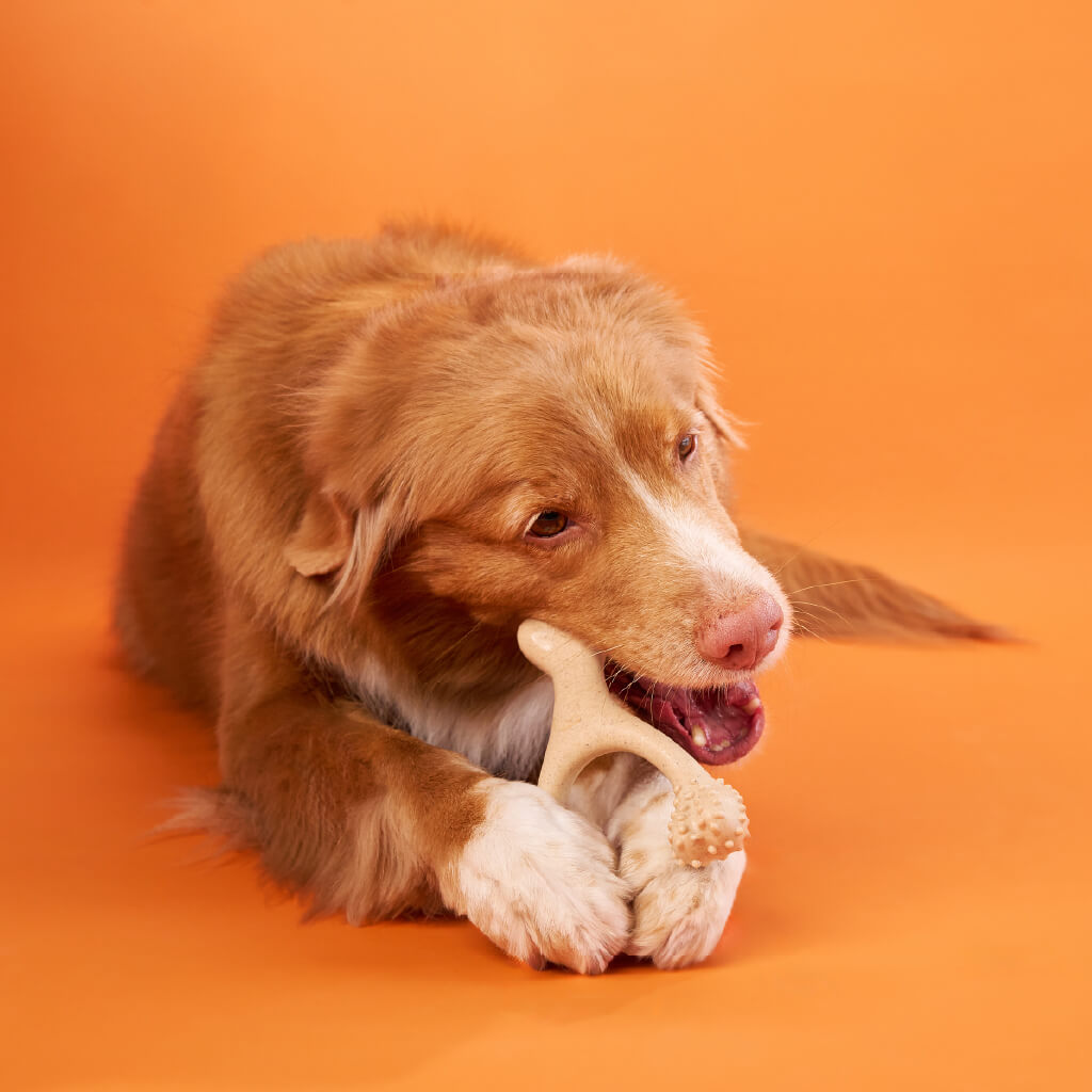 BetterBone 100% Natural Chew Toy