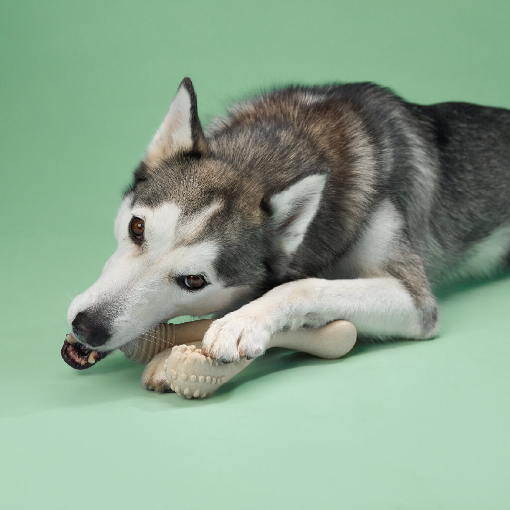 BetterBone 100% Natural Chew Toy