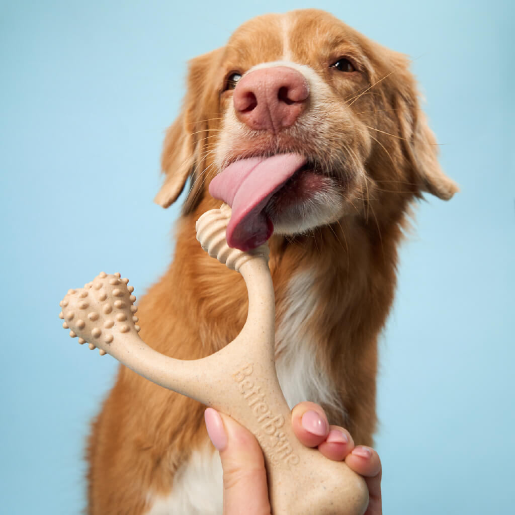 BetterBone 100% Natural Chew Toy